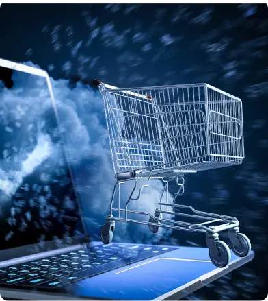 Introduction to E-commerce Development