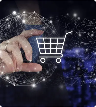 Features of Our E-commerce Solutions